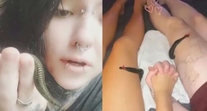 TikToker alimenta sanguessugas com o próprio sangue; veja o vídeo