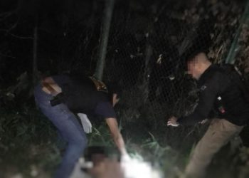 Encontrado morto por populares em área de mata na Aparecida