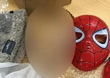 Cabeça de criança decapitada é enviada pelo correio com máscara do Homem-Aranha