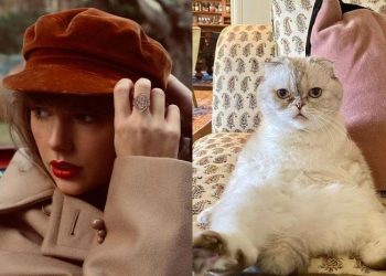 Com R$ 521 milhões em patrimônio, gata de Taylor Swift é o 3º pet mais rico do mundo