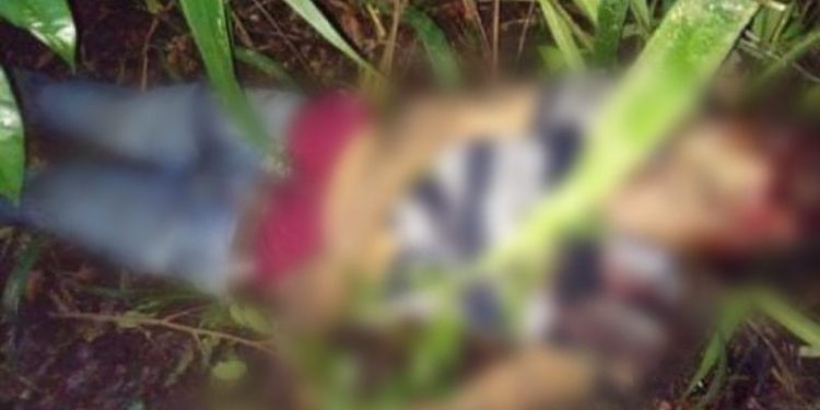 Adolescente é encontrado morto após mãe receber fotos e localização do corpo