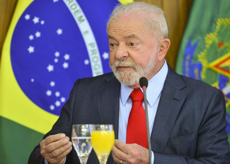 ​Os filhos do Sapo 