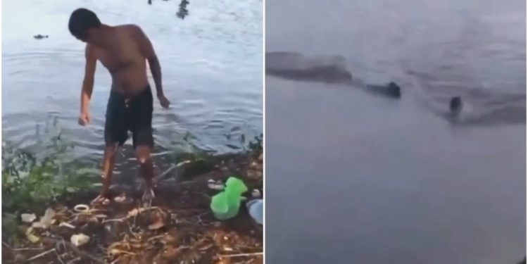 Vídeo: homem nada em lago proibido para banho e é atacado por jacaré
