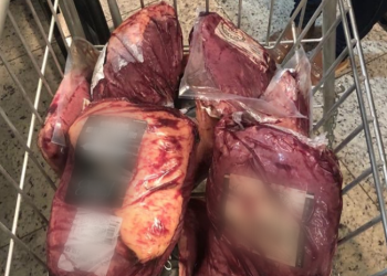 Presas suspeitas de furtar peças de picanha avaliadas em mais de R$ 1,8 mil