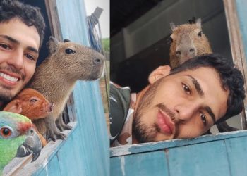 Amazonense bomba na Web ao mostrar amizade sincera com Capivara
