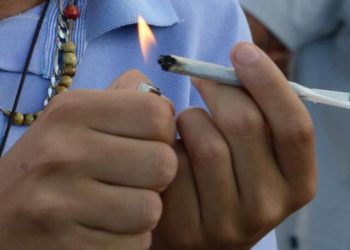 Legalizar Cannabis pode aumentar uso sem reduzir criminalidade