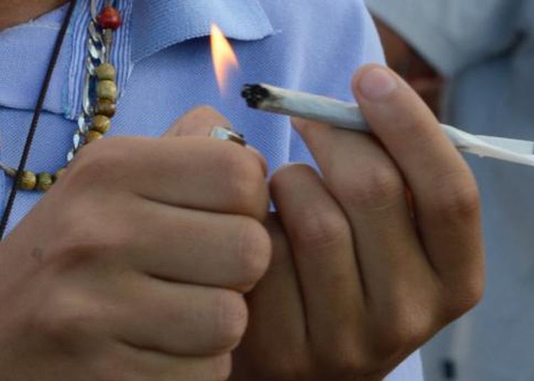 Legalizar Cannabis pode aumentar uso sem reduzir criminalidade