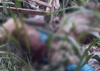 Mais um corpo foi encontrado às margens de um igarapé próximo a avenida Alameda Alphaville, bairro Tancredo Neves em Manaus.