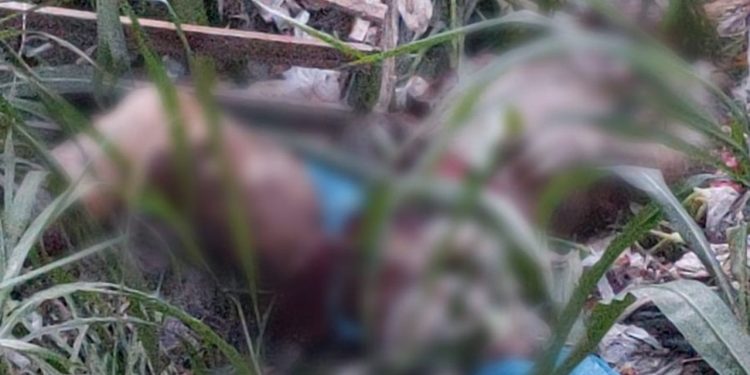 Mais um corpo foi encontrado às margens de um igarapé próximo a avenida Alameda Alphaville, bairro Tancredo Neves em Manaus.