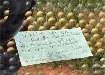 Um motorista de aplicativo foi encontrado morto dentro do carro em uma valeta, nesta quinta-feira (23), no Bairro Morada. Motorista de.