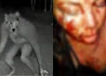 Um suposto ataque de lobisomem está sendo compartilhado nas redes sociais após três pessoas da mesma tribo indígena sobreviverem.