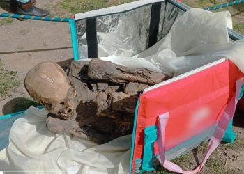 Um peruano de 26 anos, identificado como Julio Cesar Bermejo, foi preso depois que a polícia encontrou uma múmia dentro de sua bolsa térmica.