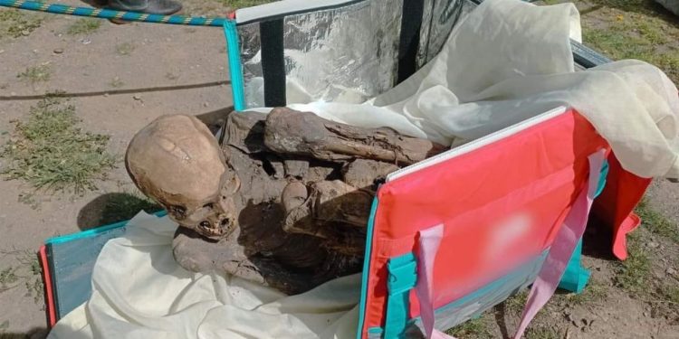 Um peruano de 26 anos, identificado como Julio Cesar Bermejo, foi preso depois que a polícia encontrou uma múmia dentro de sua bolsa térmica.