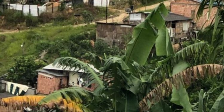 Uma ossada humana foi encontrada em uma área de mata na invasão Monte Horebe, Comunidade Estrela de Davi, bairro Lago Azul, em Manaus.