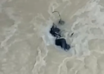 VÍDEO: Corpo amarrado é encontrado em igarapé do Jorge Teixeira após enxurrada