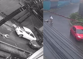 O motorista de um veículo Palio vermelho está sendo procurado pela Polícia Civil por ter atropelado uma criança de 10 anos e fugido