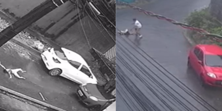 O motorista de um veículo Palio vermelho está sendo procurado pela Polícia Civil por ter atropelado uma criança de 10 anos e fugido