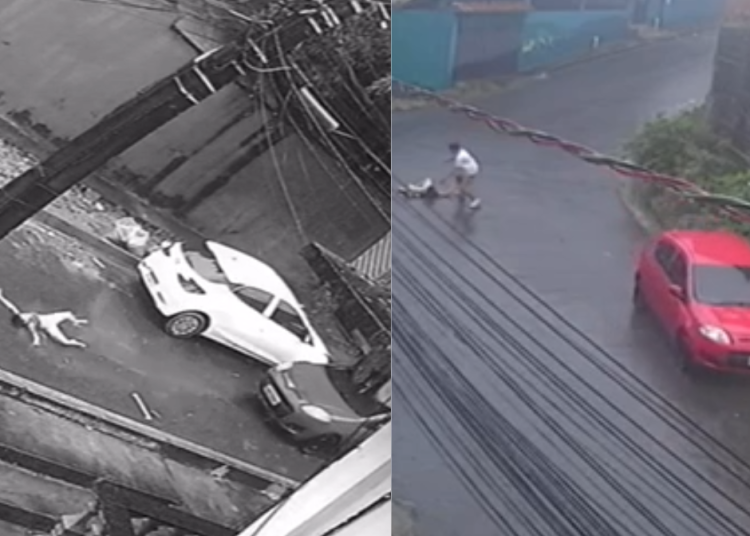 O motorista de um veículo Palio vermelho está sendo procurado pela Polícia Civil por ter atropelado uma criança de 10 anos e fugido