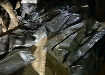 A Defesa Civil de Manaus contabiliza oito mortes em decorrência de um desbarrancamento ocorrido na noite deste domingo (12), em Nova Floresta