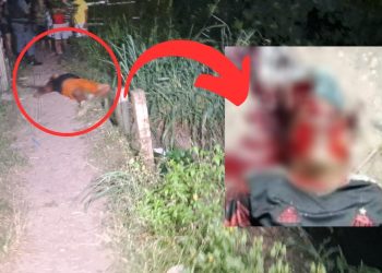 Um homem conhecido como 'Sapinho', foi executado a tiros próximo a um igarapé na rua rua São Paulo, no bairro Nova Esperança, em Manaus.