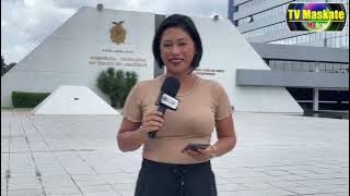 Deputada Mayra Dias sugere show de David Assayag no Bumbódromo durante Festival de Parintins