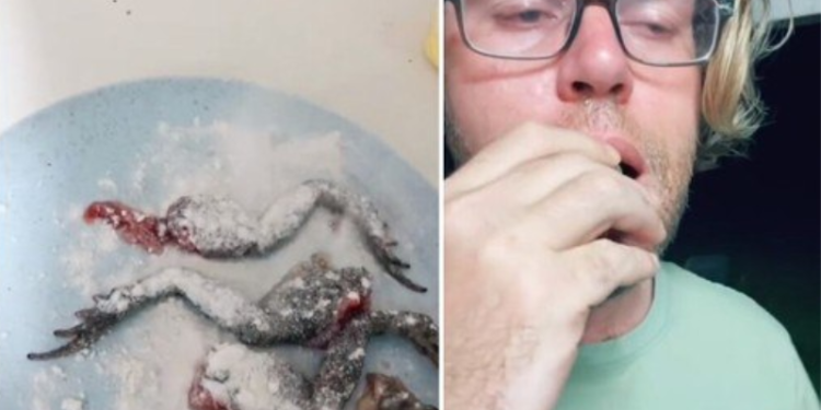 Um tiktoker preparando e comendo um sapo-cururu frito, junto com amigos, viralizou nas redes sociais. Tiktoker tempera