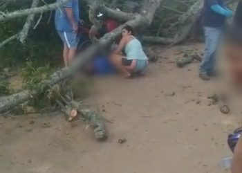 Homem morre ao parar moto na sombra para atender celular e árvore cair em cima dele
