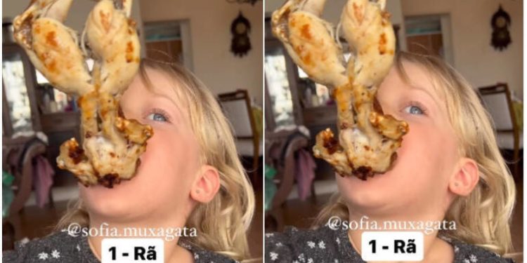 Menina de 3 anos viraliza ao comer rim de boi e carne de rã. Sofia tem 900 mil seguidores no TikTok e 274 mil no Instagram.