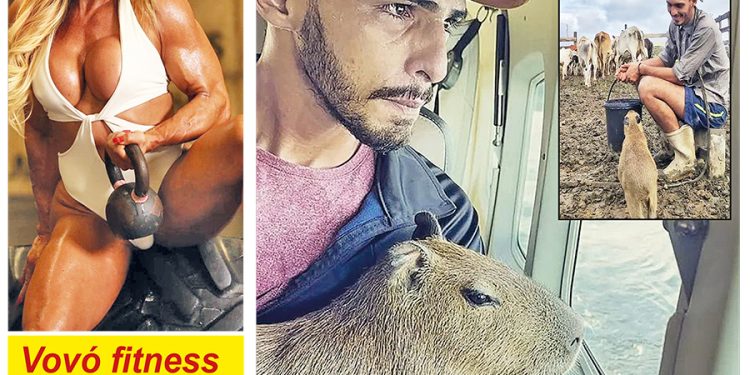 4876 – EDIÇÃO DIGITAL