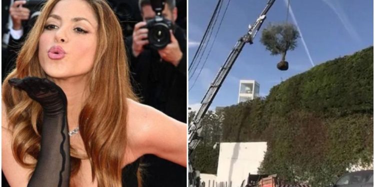 Shakira deixou a casa onde morava com Gerard Piqué, em Barcelona, na Espanha, e se mudou com os filhos para Miami, nos Estados Unidos.