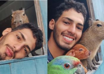 O amazonense Agenor Tupinambá recebeu uma multa de mais R$ 17 mil pelo Ibama e o recado que a sua adorável capivara será retirada dele.