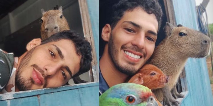 O amazonense Agenor Tupinambá recebeu uma multa de mais R$ 17 mil pelo Ibama e o recado que a sua adorável capivara será retirada dele.