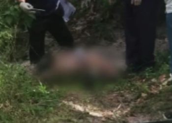 O corpo de um homem foi encontrado enterrado em um terreno particular na rua Jericó, comunidade Jesus me Deu, bairro Terra Nova, em Manaus.