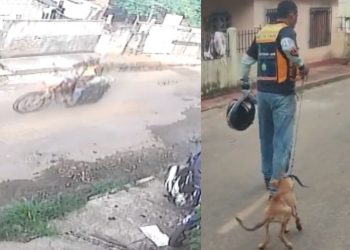 Um mototaxista causou revolta ao acorrentar e arrastar um cachorro pela rua do município de Manacapuru, interior do Amazonas.