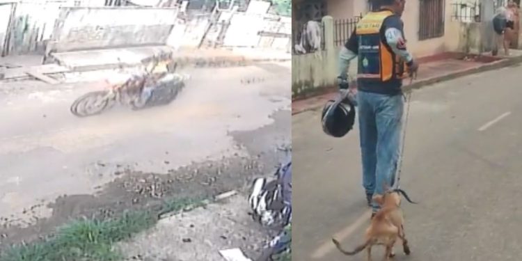 Um mototaxista causou revolta ao acorrentar e arrastar um cachorro pela rua do município de Manacapuru, interior do Amazonas.