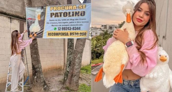 VÍDEO: Influenciadora chora por pato perdido e oferece R$ 30 mil para quem achar