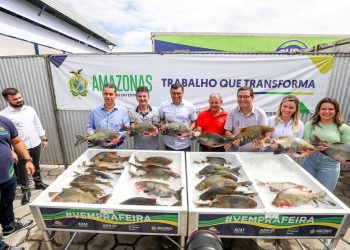 300 toneladas de pescados serão doados na Semana Santa