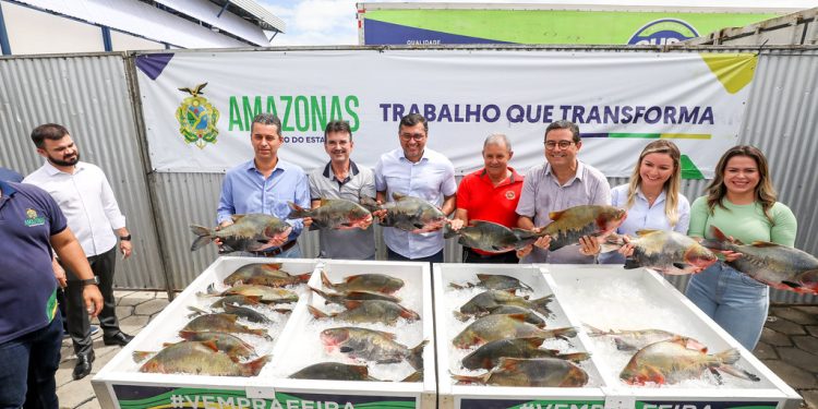 300 toneladas de pescados serão doados na Semana Santa