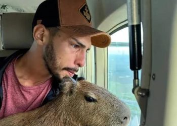 Filó vai ficar no centro de triagem do IBAMA, em Manaus