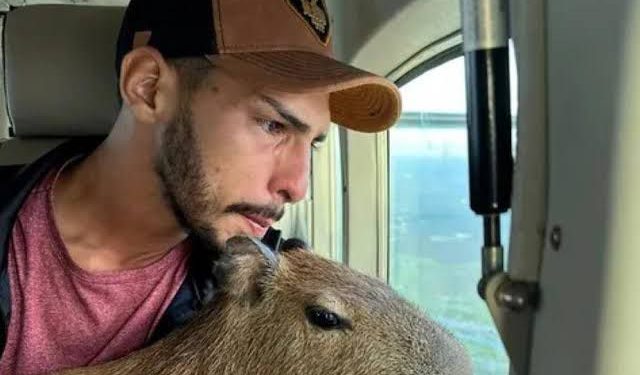 Filó vai ficar no centro de triagem do IBAMA, em Manaus