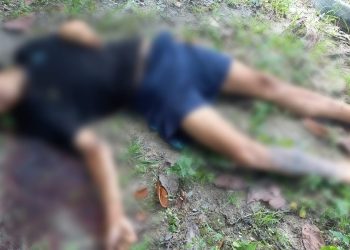 Os moradores do bairro Novo Aleixo em Manaus, encontraram o corpo de um homem de 28 anos, jogado em um barranco.