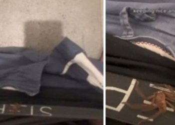 Um homem acordou e percebeu que algo se mexia na cueca dele. Mas, ao contrário do que possa parecer, era uma aranha que estava por lá. Vídeo: