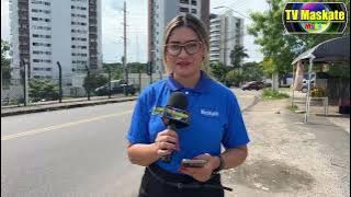 Calendário de castração de cães e gatos é divulgado