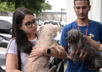 Antônio Holanda de Magalhães, 30, foi detido na segunda-feira (17), apontado por estuprar a própria cadela (zoofilia), gravado. Em Manaus.