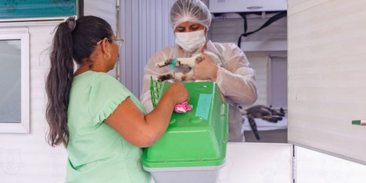 A  Unidade Móvel do Centro de Controle de Zoonoses (CCZ), está atendendo a população na rua Epitácio Pessoa, nº 9. Unidade Móvel