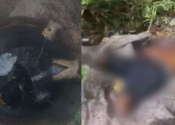 A Polícia Civil do Amazonas (PC-AM) prendeu um trio que esquartejou Jonas de Souza Martins, de 38 anos, em Manaus.