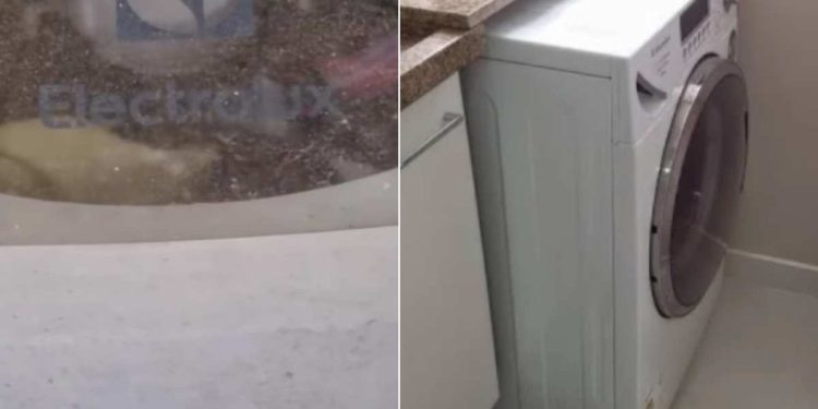 Após reclamações de vizinhos, mulher grava vídeo provando que os gemidos eram da sua máquina de lavar; assista