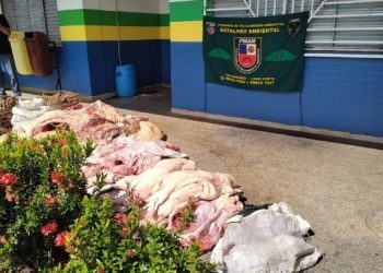 O Batalhão de Policiamento Ambiental (BPAmb) da Polícia Militar do Amazonas apreendeu 781 quilos de carne de animais silvestres, em uma feira, em Coari