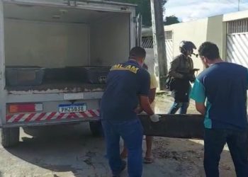 Na tarde desta quinta-feira (4), Marcos Paulo Alves Bezerra, de 26 anos, vulgo "Loirinho" foi executado.