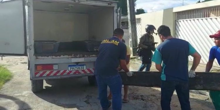 Na tarde desta quinta-feira (4), Marcos Paulo Alves Bezerra, de 26 anos, vulgo "Loirinho" foi executado.